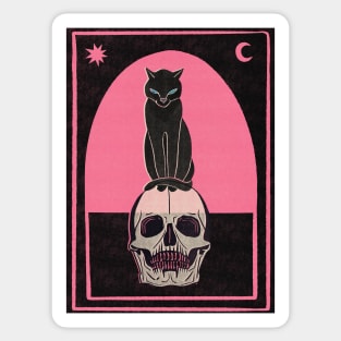 Cat sitting on skull black and pink Sticker